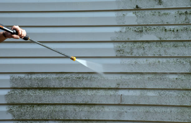 Professional Pressure Washing in Dwight, IL